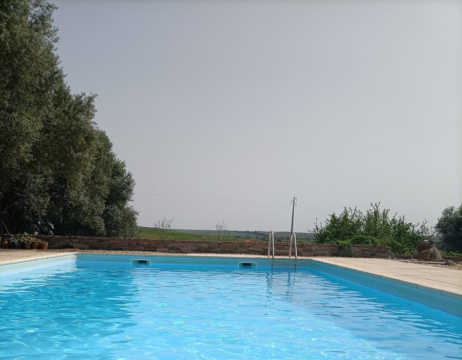 Piscina exterior do Monte da Floresta rodeada de relvado e espreguiçadeiras.