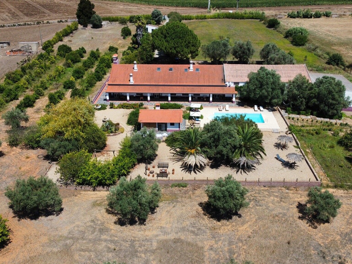 Pátio de gravilha com jardim mediterrânico junto à casa principal.